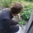 Profilbild für Simon F