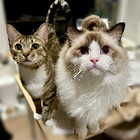 Avatar for Christy S