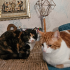 Avatar for Jessica V