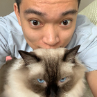 Profilbild für jian z