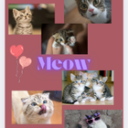 Avatar for Pui (Annie) C