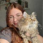 Profilbild für Letizia L