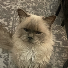 Avatar for Malgorzata J