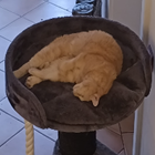 Profilbild für Sophia W