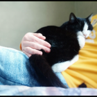 Profilbild für Rubén F