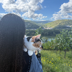 Profilbild für Xuan W