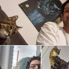 Profilbild für Michel K