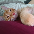 Profilbild für Lisa F