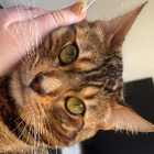 Profilbild für Isabelle H