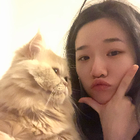 Avatar for Siyuan H