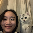 Profilbild für Yuting Z