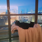 Avatar for Joseph (Joe) M