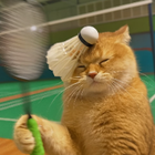 Profielfoto voor YIXUAN F