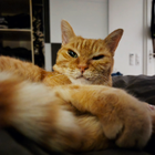 Profilbild für Lydia B