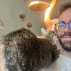 Profielfoto voor João B