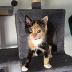 Avatar pour Agathe D