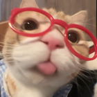 Profilbild für Semra F