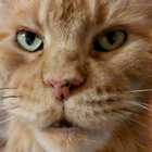 Profilbild für Maja B