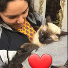 Profielfoto voor Maryam A