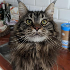 Profielfoto voor Christina A