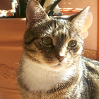 Profilbild für Celine F