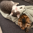 Profilbild für Nadja K