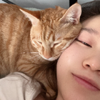 Profilbild für Yeding L