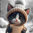 Profilbild für Anna-Sophie K