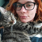 Profilbild für Stella D