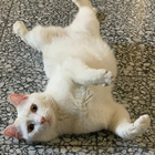 Profilbild für Arianna G