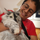 Profilbild für Cesar Pabel B