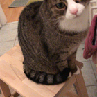 Profilbild für Annalena S