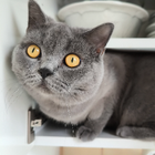 Profilbild für Yulia Y