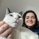 Profilbild für Lili R