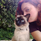 Profilbild für Heidi Cristina P