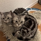 Profilbild für Magdalena S