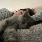 Profilbild für Amna Z