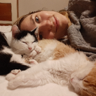 Profilbild für Nikola E