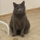 Profilbild für Fei X