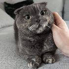 Profilbild für Viktoria B
