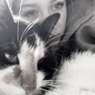 Profilbild für Josefine S