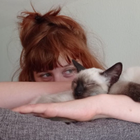 Profilbild für Tessa C