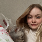 Profilbild für Franzi B