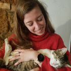 Profilbild für Sarah M