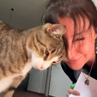 Profilbild für Jill R