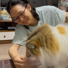 Profilbild für Bingqian Y