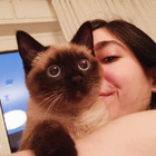Profilbild für Leena H