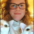 Avatar pour Morellet L