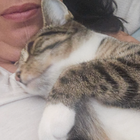 Avatar for Rosanna R