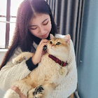 Profilbild für Jasmine(Jing) H